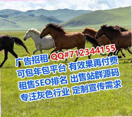 邕宁借腹生子电子商务有限公司